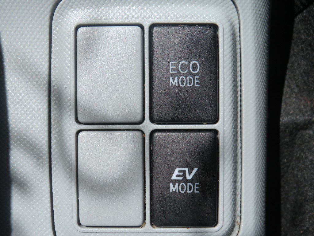 S8031517.jpg