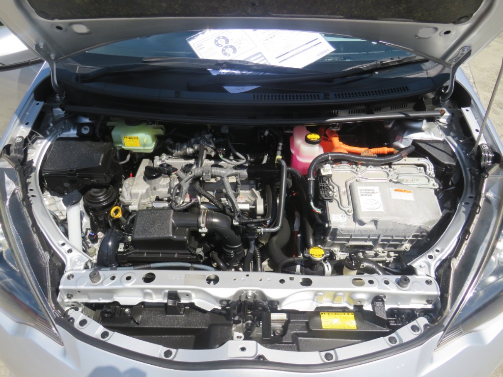 S8031520.jpg