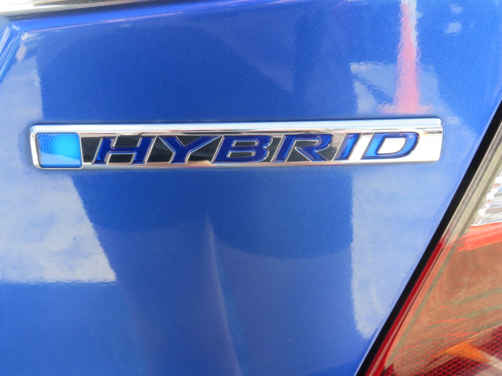 S8031911.jpg