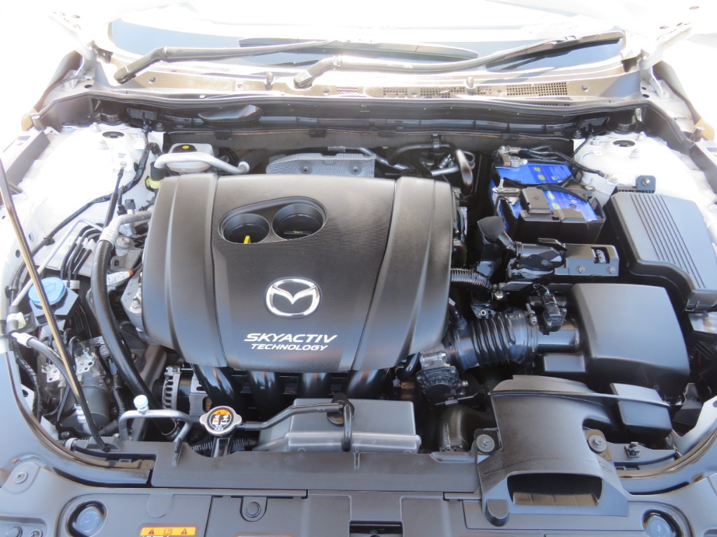 S8032120.jpg