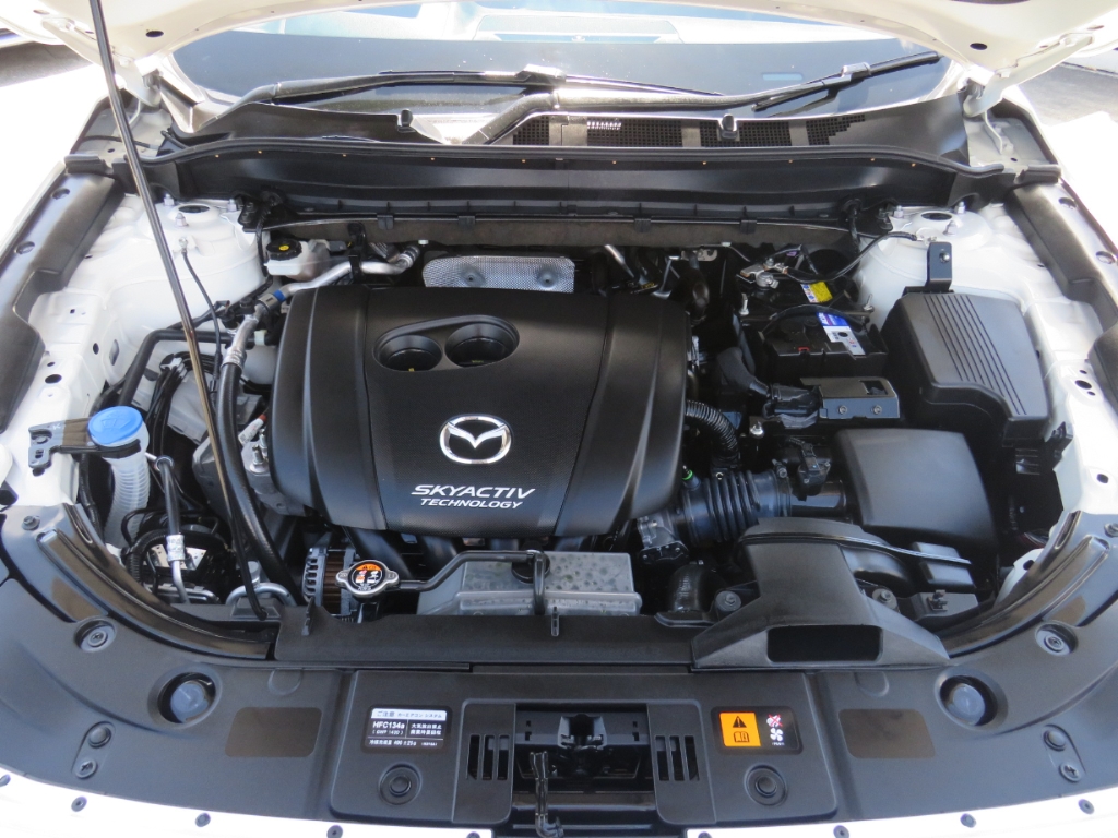 S8032220.jpg