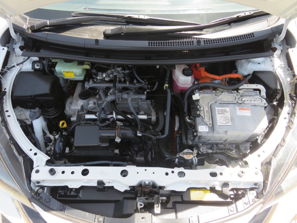 S8032319.jpg