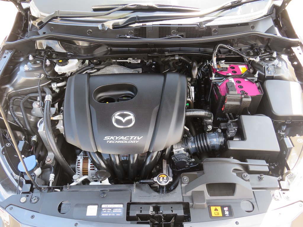 S8032719.jpg
