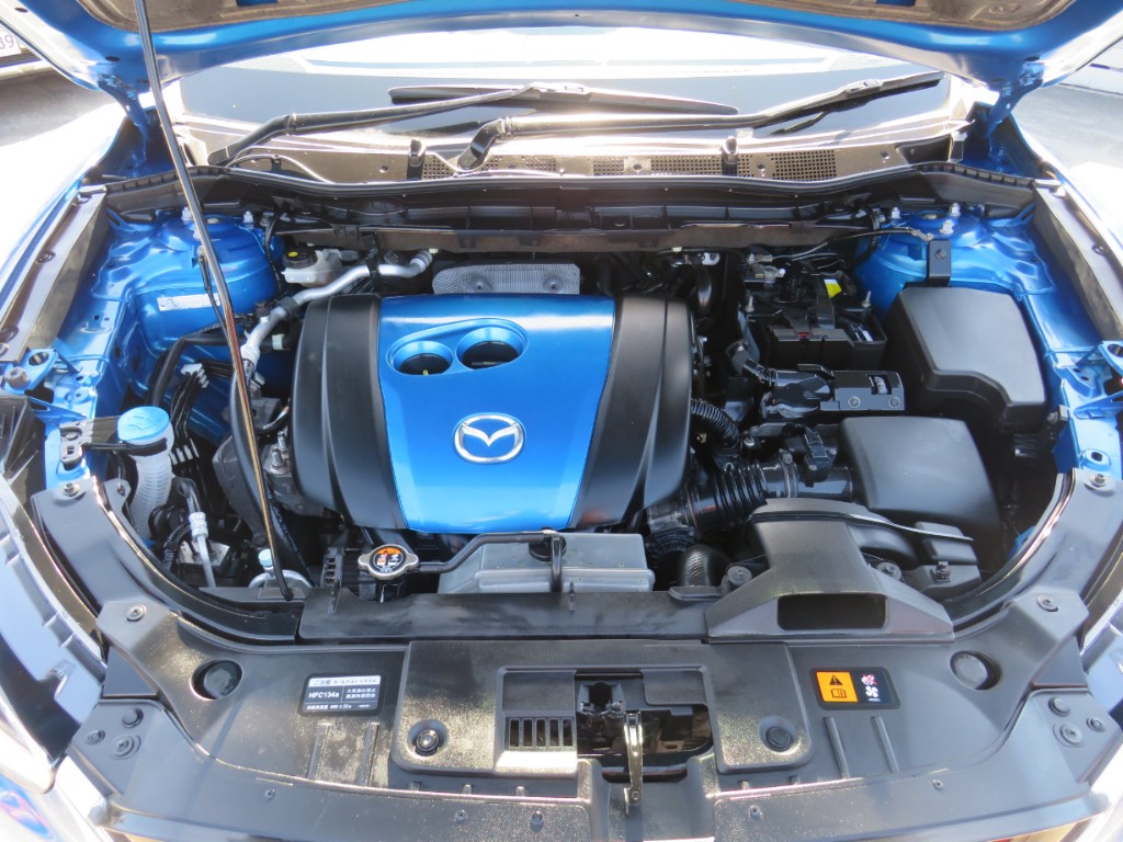 S8034221.jpg