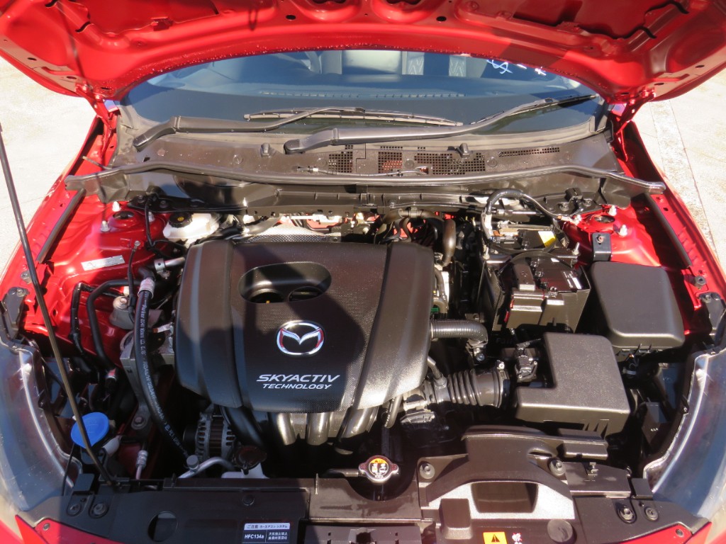 S8034618.jpg