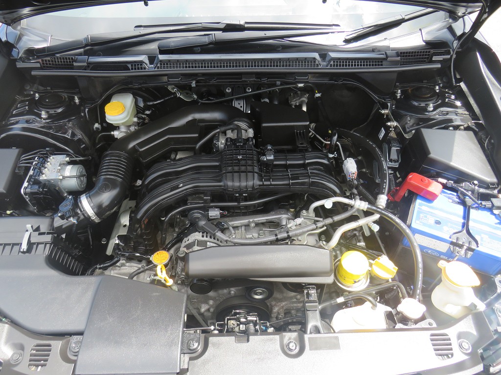 S8036321.jpg