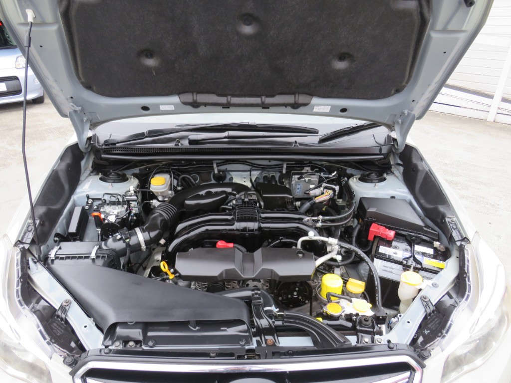 S8036520.jpg