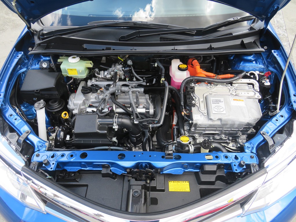 S8037821.jpg