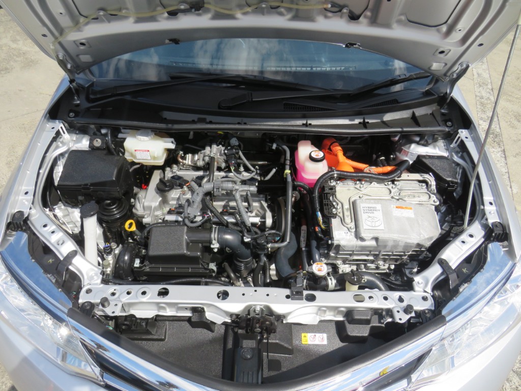 S8038019.jpg