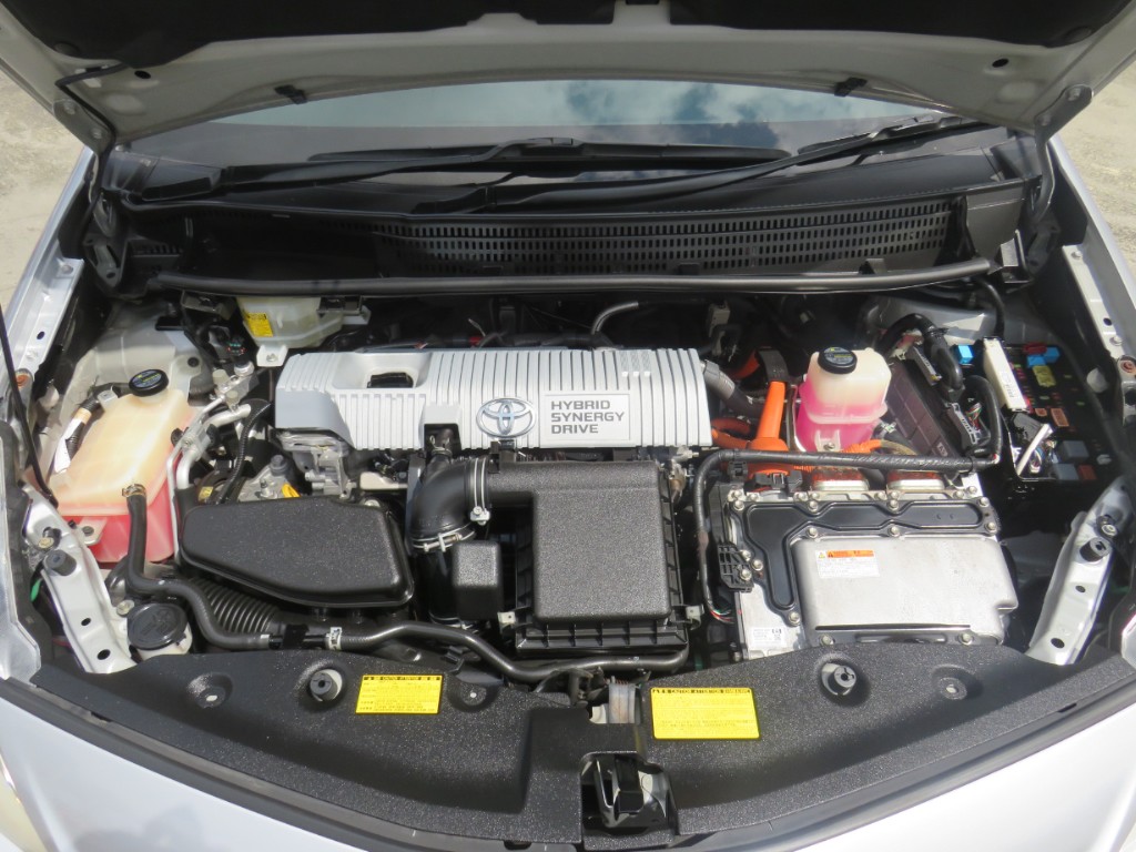 S8038519.jpg