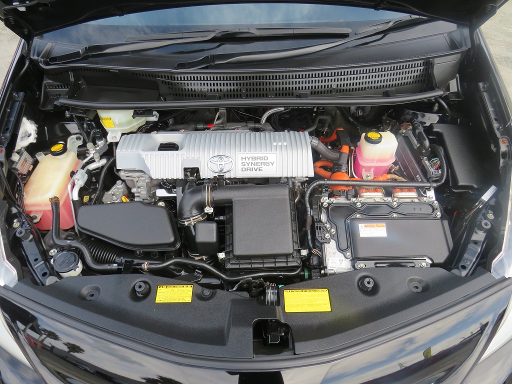 S8038918.jpg