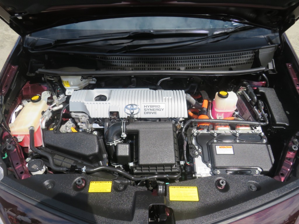 S8039019.jpg