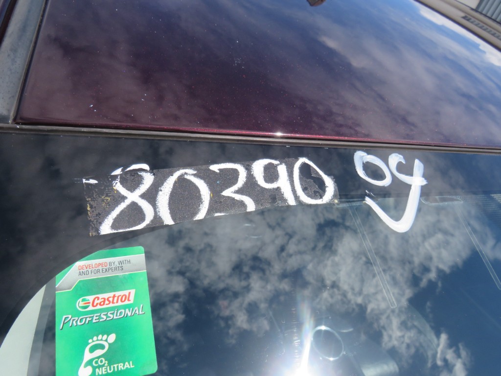 S8039020.jpg
