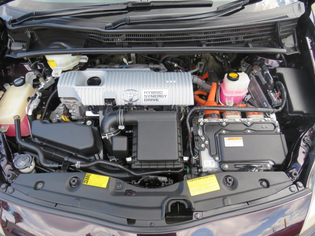 S8039120.jpg