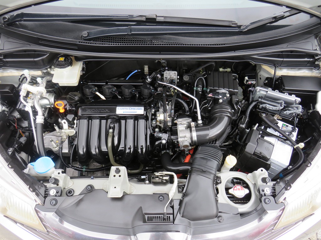 S8040221.jpg