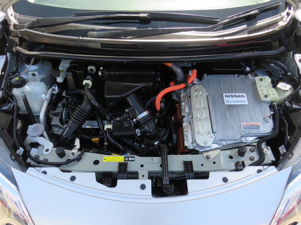 S8040618.jpg