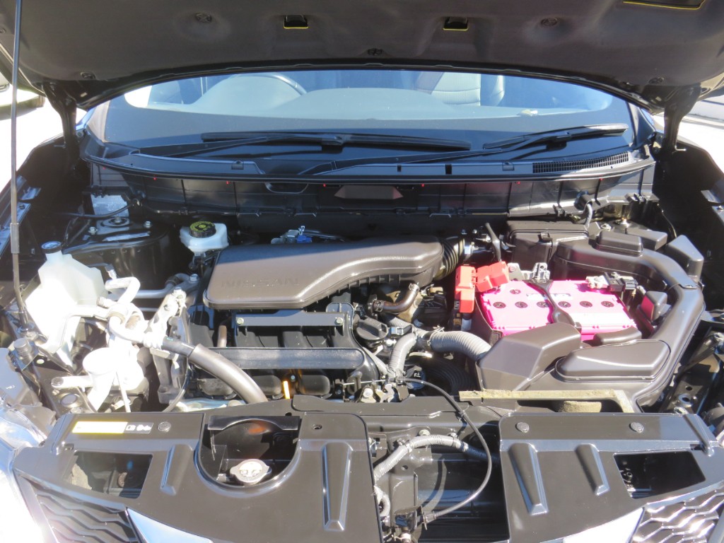 S8041220.jpg