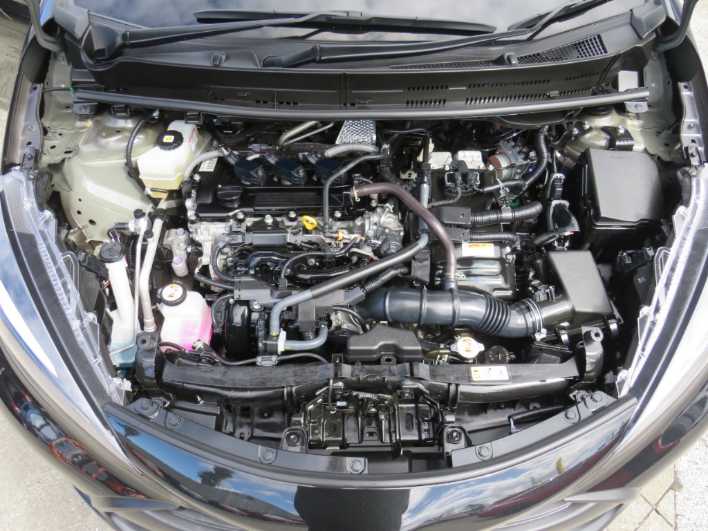 S8041620.jpg