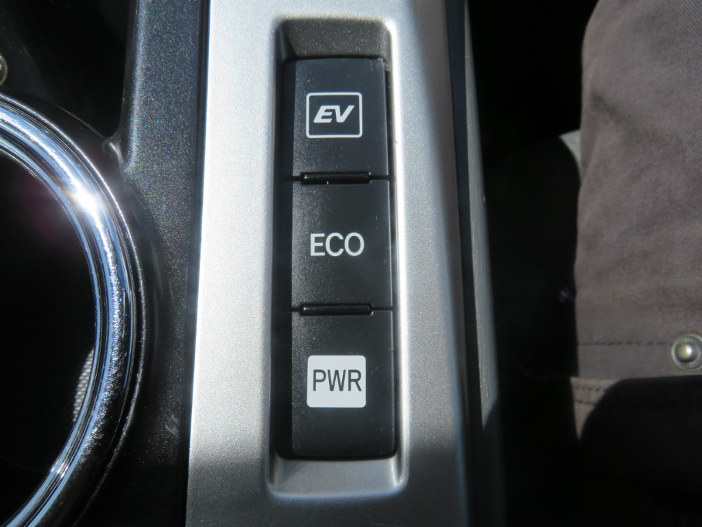 S8042118.jpg
