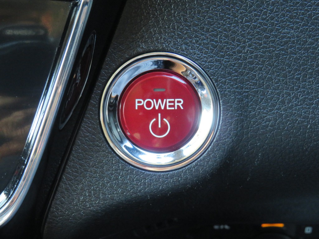 S8042519.jpg