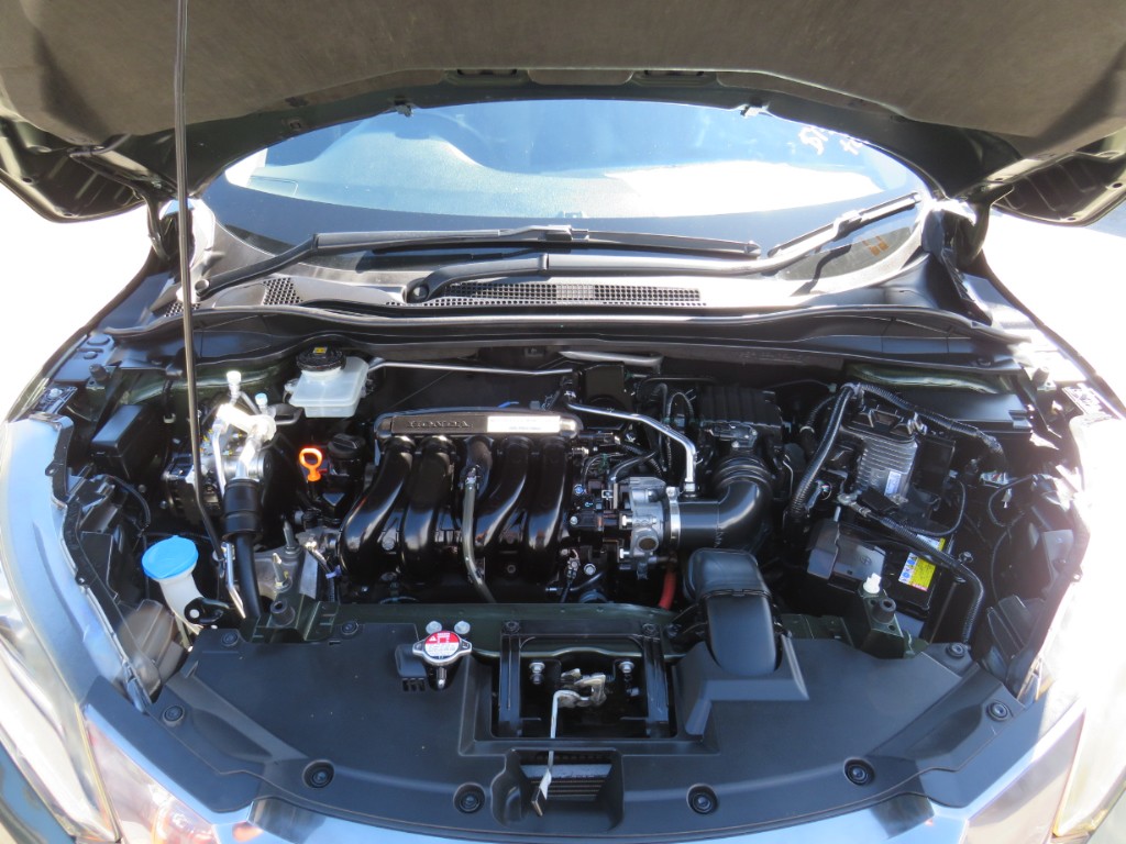 S8042521.jpg