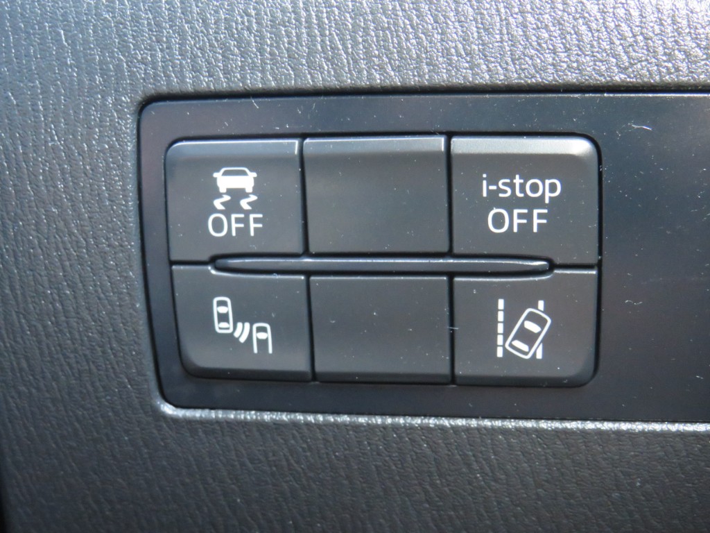 S8042615.jpg