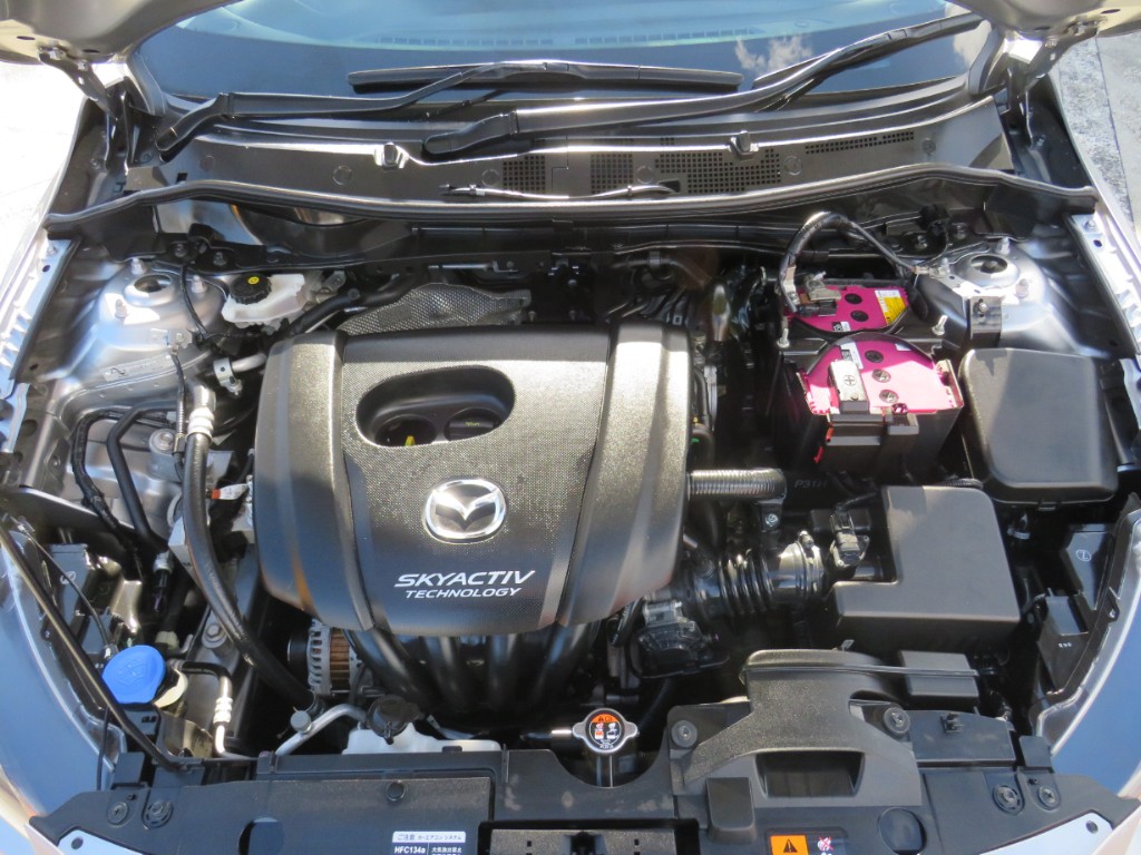 S8042620.jpg