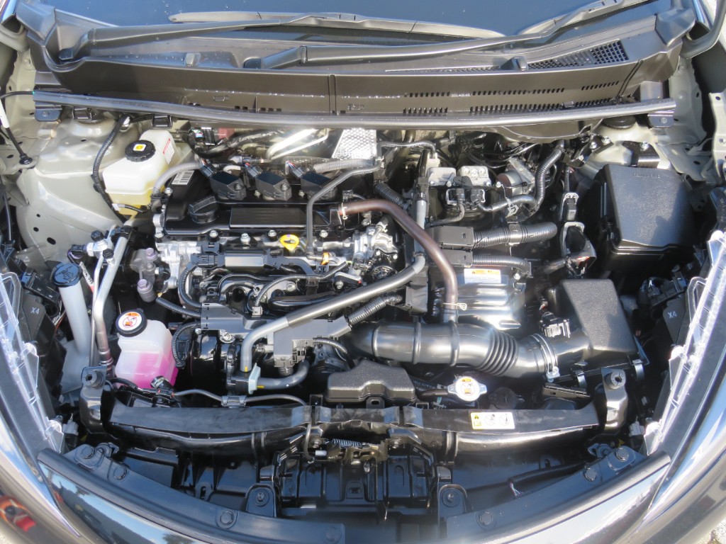 S8043220.jpg