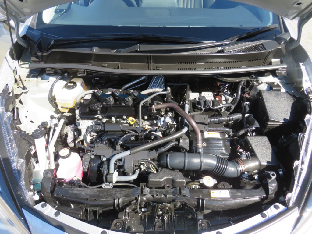 S8043519.jpg