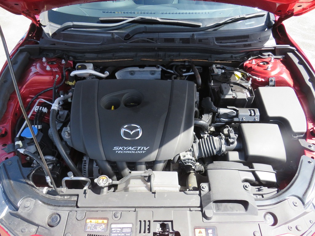 S8044320.jpg
