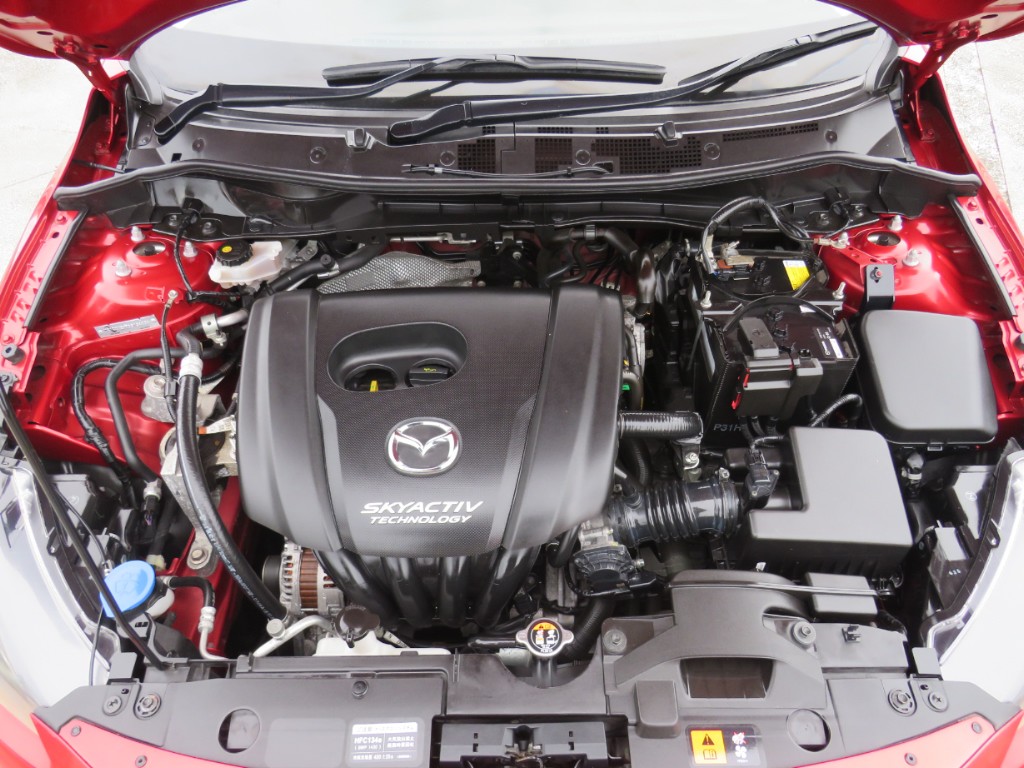 S8044419.jpg
