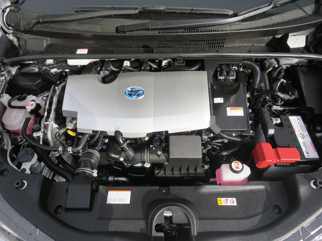 S8045920.jpg