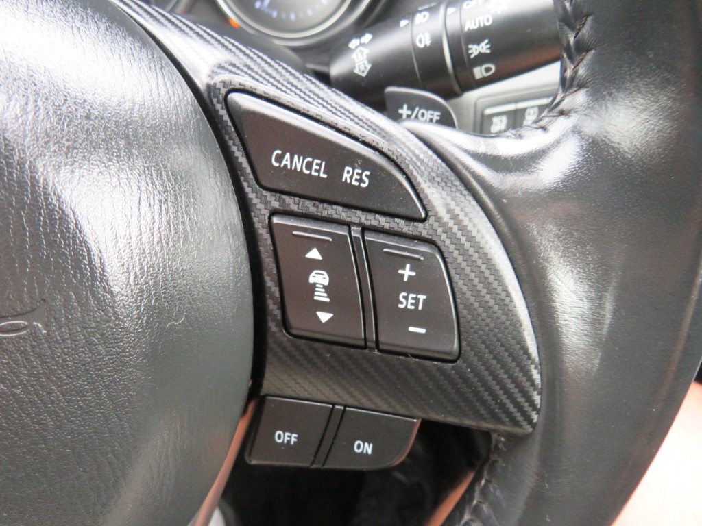 S8046516.jpg