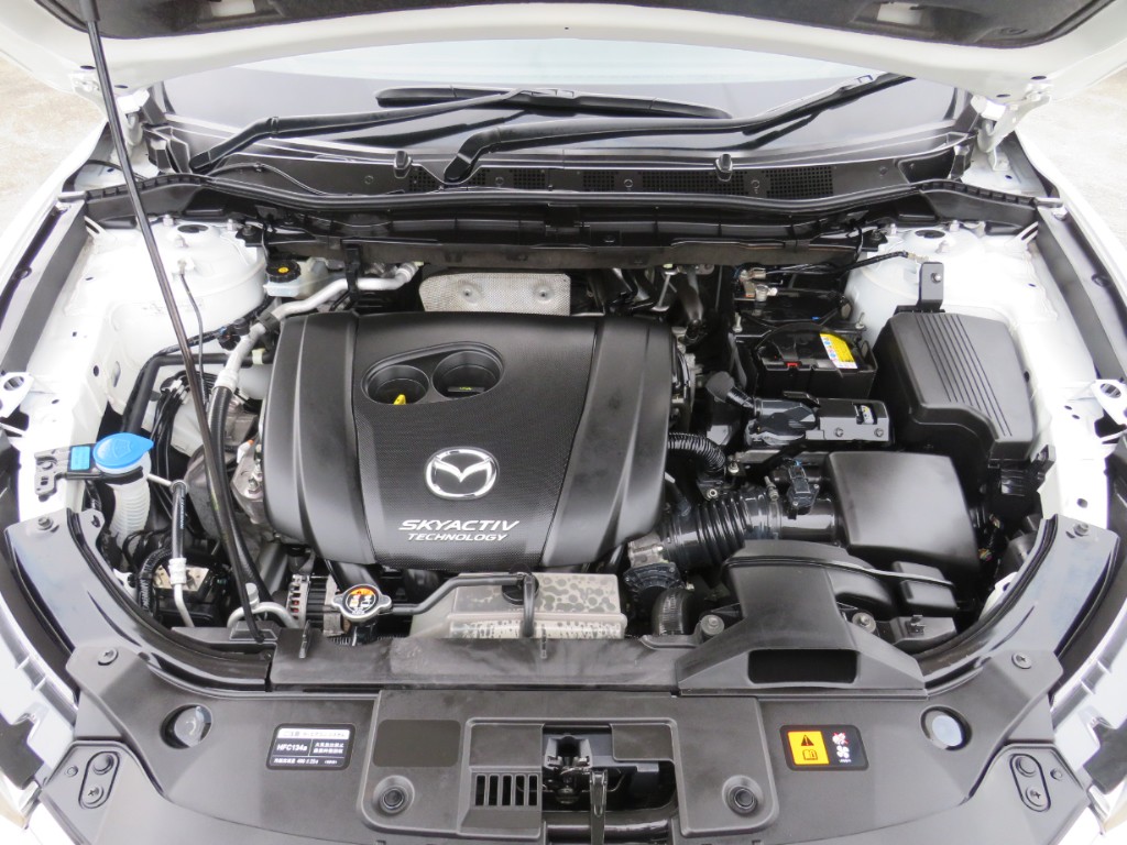 S8046519.jpg