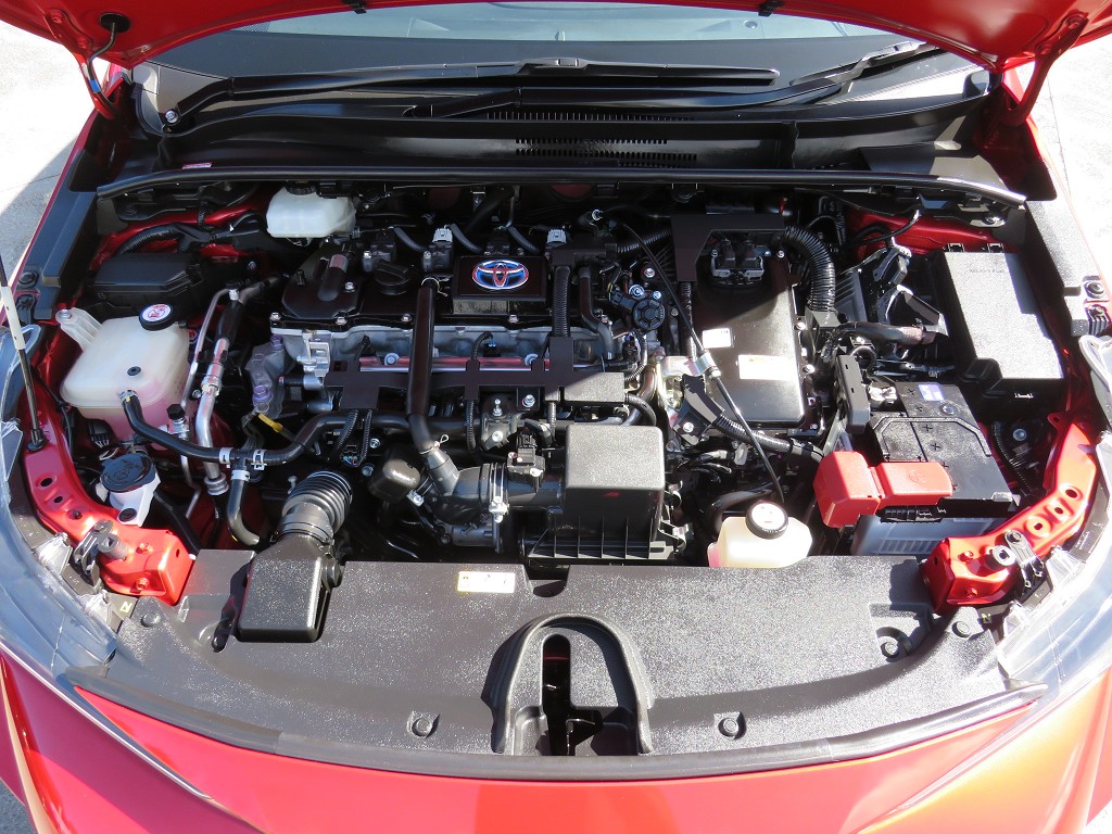S8048021.jpg
