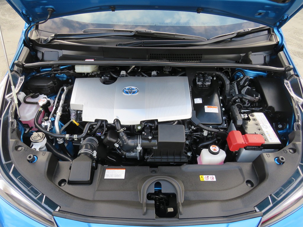 S8048220.jpg