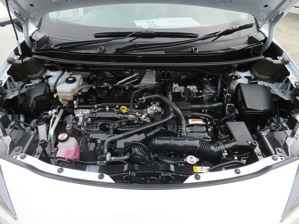 S8048520.jpg