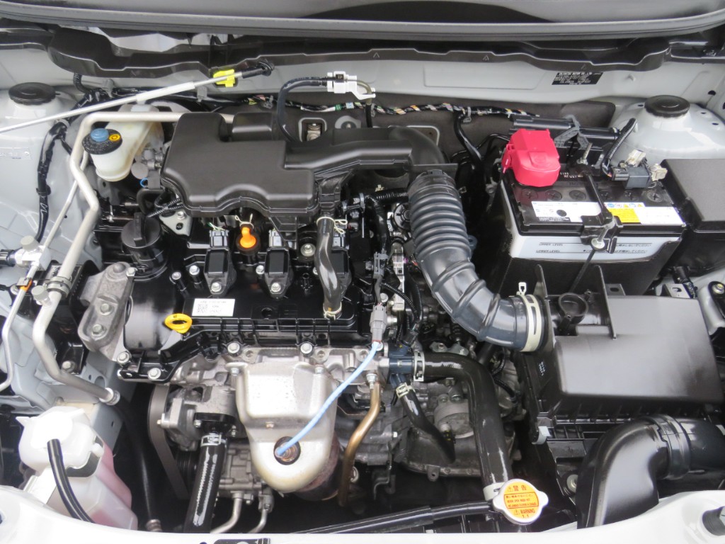 S8049618.jpg