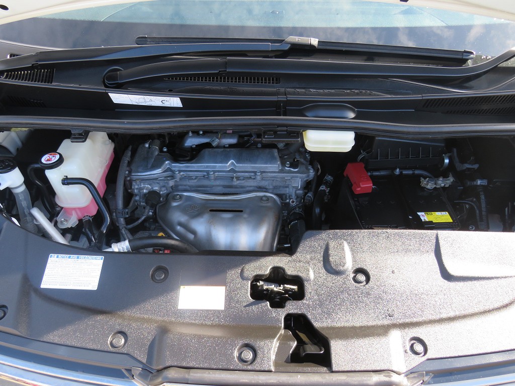 S8049821.jpg