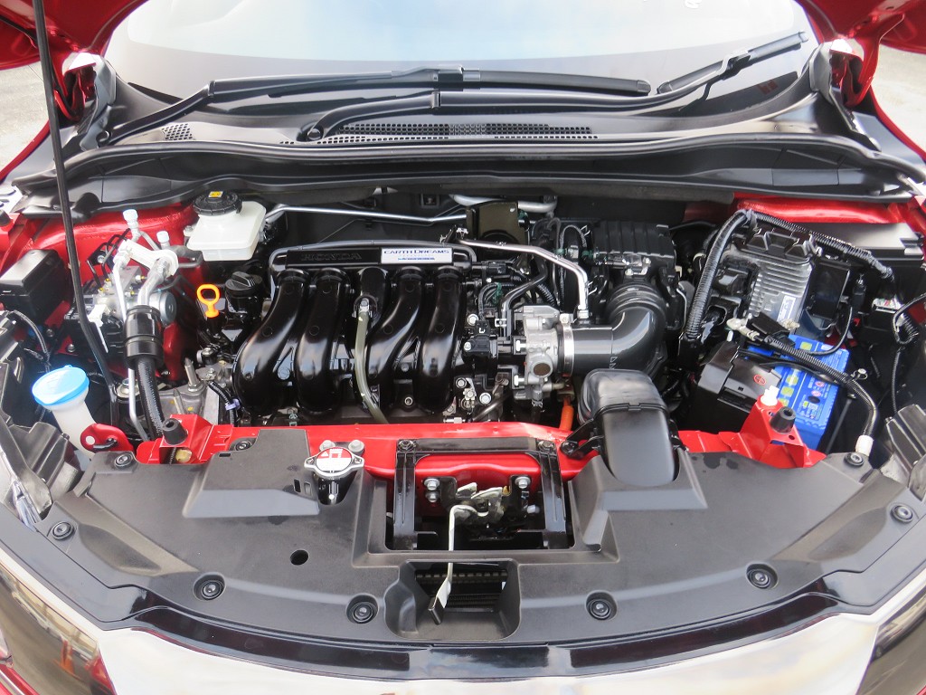 S8050021.jpg