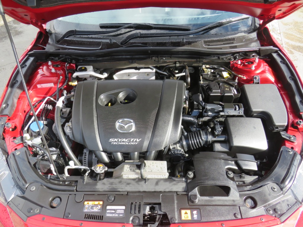 S8050120.jpg