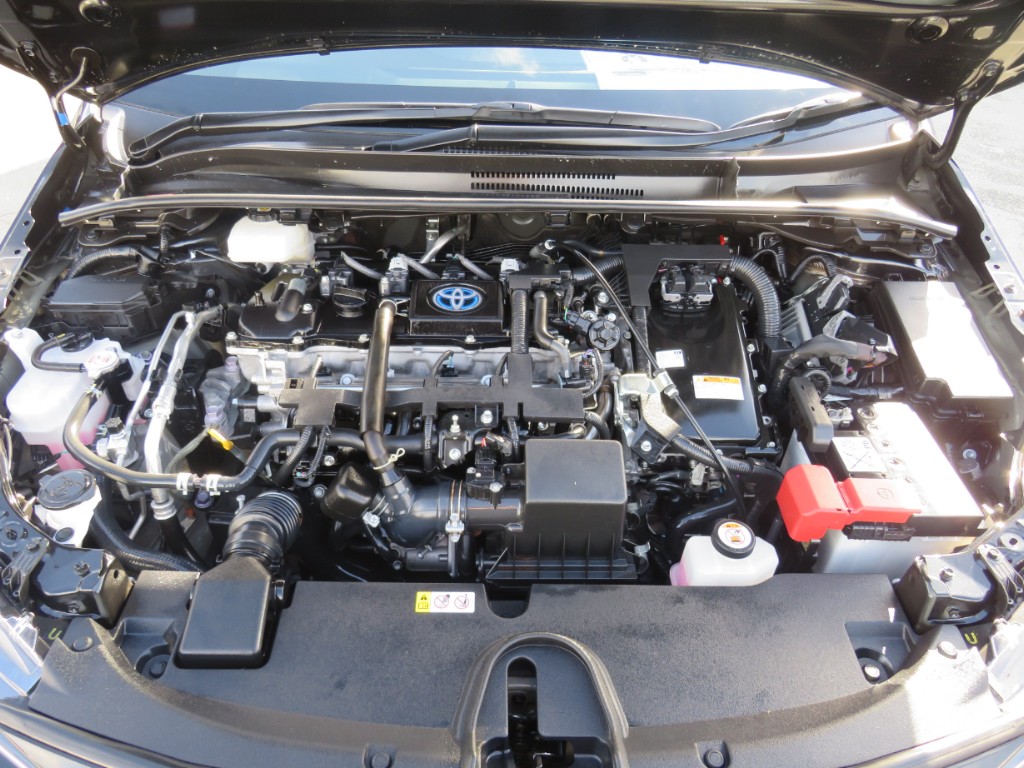 S8050821.jpg