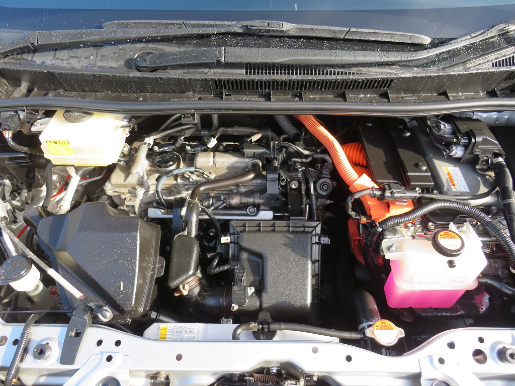 S8050921.jpg