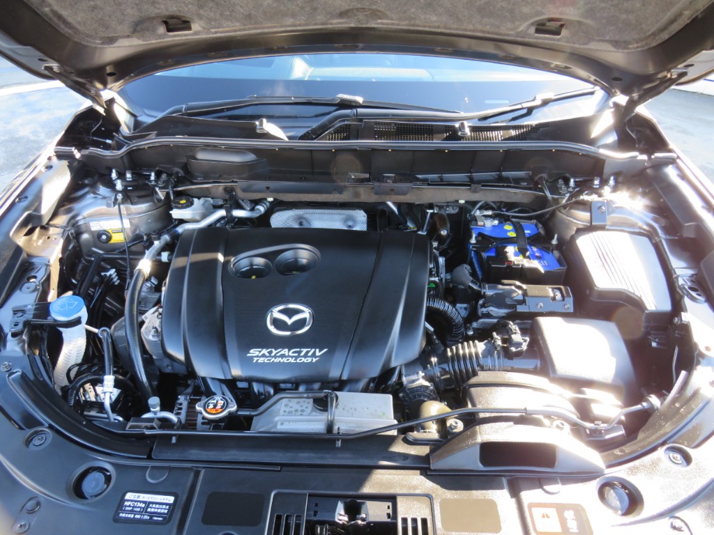S8052320.jpg