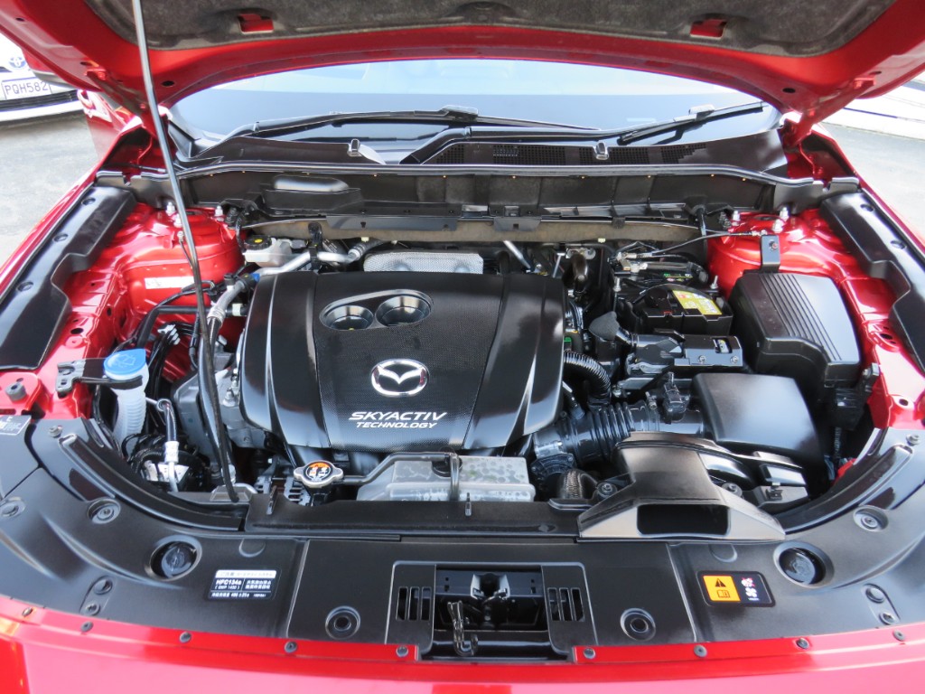 S8052420.jpg