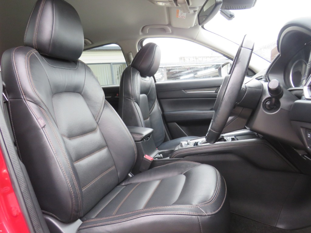 S8052513.jpg