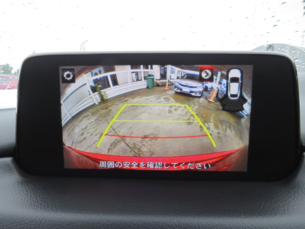 S8052518.jpg