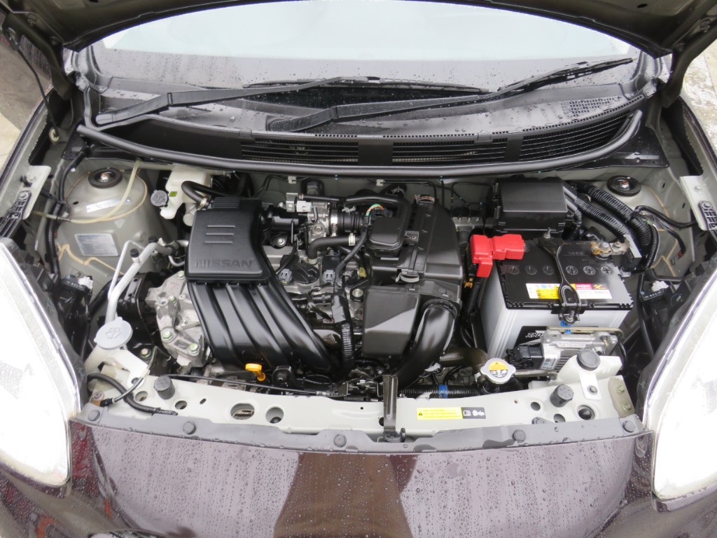 S8053020.jpg