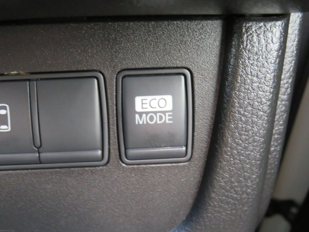 S8053518.jpg