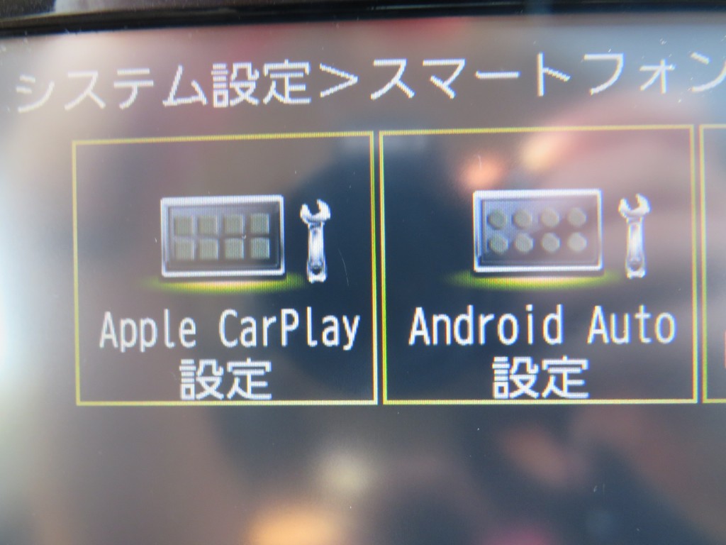S8054019.jpg